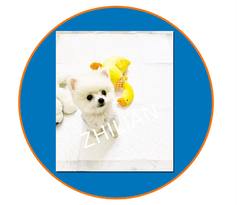 800mm Szerokość Pet Training Pad Pet Pad Machine 200m/min 350m/min
